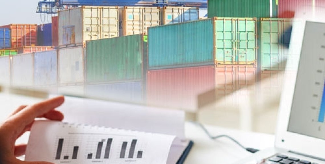 Gümrükleme ve Mevzuat Desteği